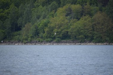 Tekneyle göl manzarası