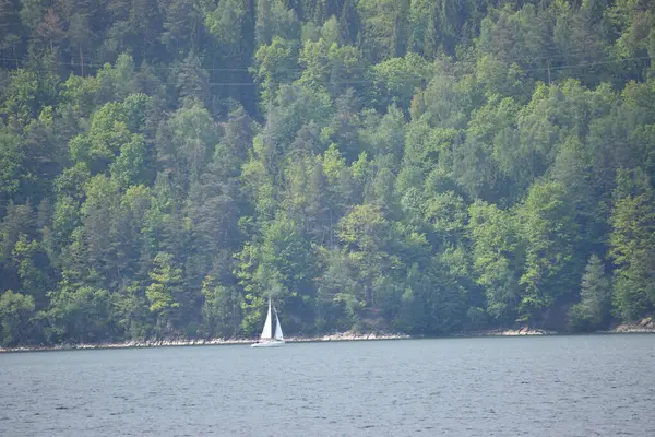 Tekne ormandan geçiyor..