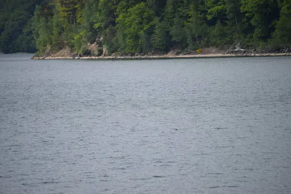 Arka planda gölün kıyısı ve gölü.