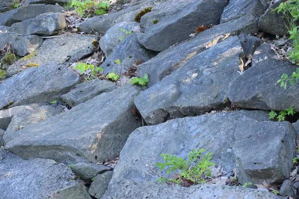 Parktaki taşların dokusu