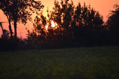 Parkta güzel bir gün batımı