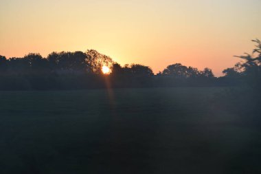 Ormanda güzel bir gün batımı