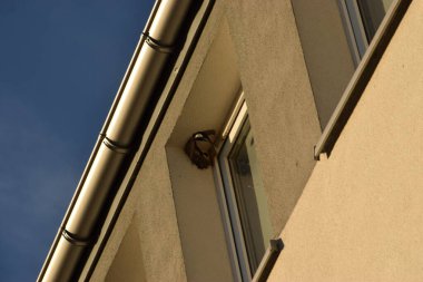 Kırlangıçlar pencerenin üzerinde uçuyor, küçük kırlangıçlar yuvada