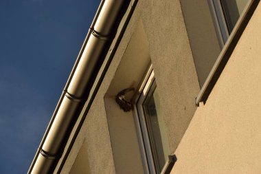 Beyaz metal saplı yakın çekim.