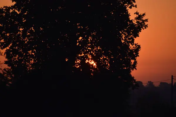 Ormanda güzel bir gün batımı