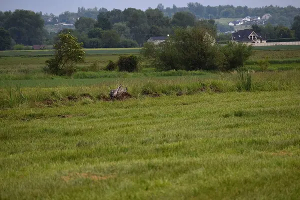 Doğal manzaranın güzel manzarası
