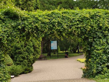 Polonya 'nın Grudziadz kentine park et.