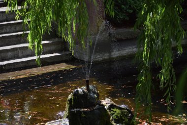 Parkın güzel manzarası