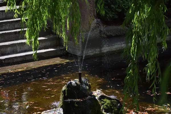 Parkın güzel manzarası