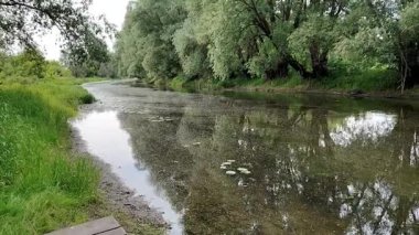 Güzel manzara. doğa arkaplanı