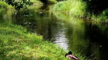 Videoda sudaki vahşi ördekler