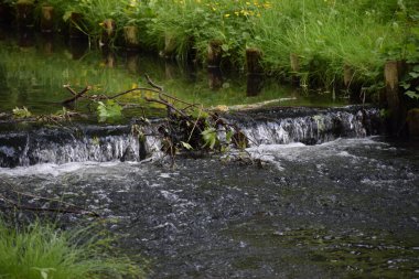 Doğanın arka planında güzel bir şelale