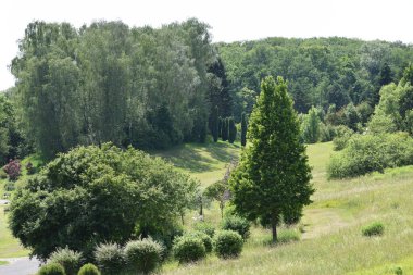 Parkın güzel manzarası