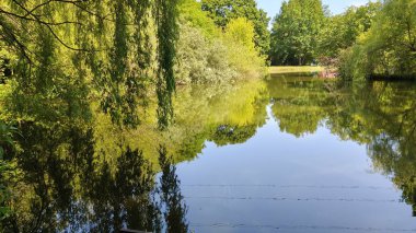 Hayvanat bahçesindeki kaplumbağa. ......