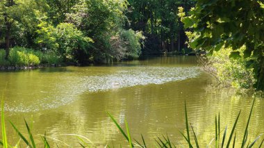 Parkın güzel manzarası