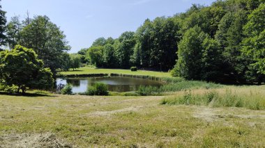 Parkın güzel manzarası