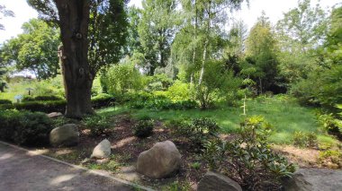 Tayland şehrindeki güzel park