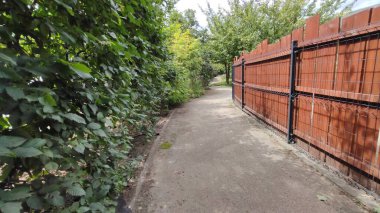 Ormandaki çitin dikey görüntüsü.