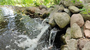 Ormanda güzel bir şelale