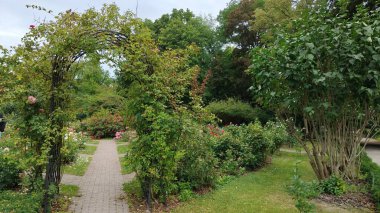 Güzel botanik fotoğrafı, doğal duvar kağıdı.