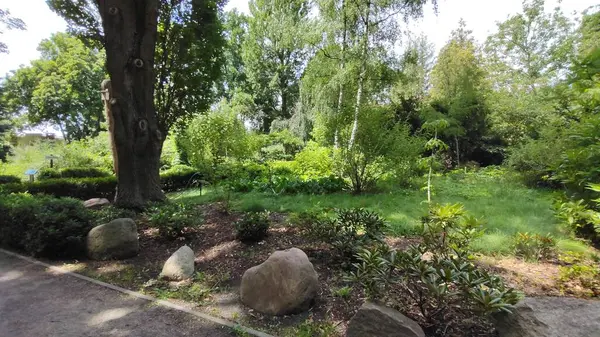 Tayland şehrindeki güzel park