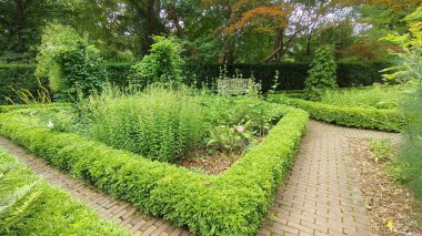 Parktaki güzel bahçe.