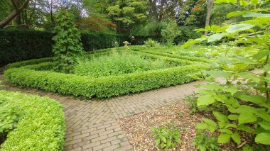 Çiçekleri ve bitkileri olan güzel bir bahçe.