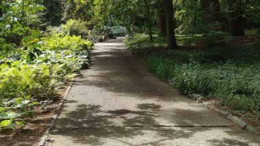 Parkın güzel manzarası