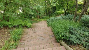 Parkın güzel manzarası