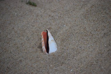 Sahilde kırmızı ve beyaz kum