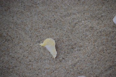 Gökyüzünden güzel bir deniz manzarası