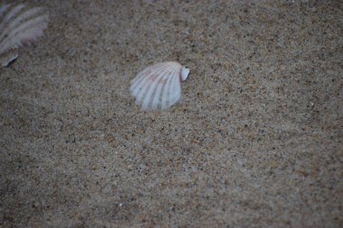 Deniz manzarası çok güzel. Seyahat