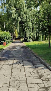 Fotoğrafta, parkta ağaçlarla çevrili bir patika var.