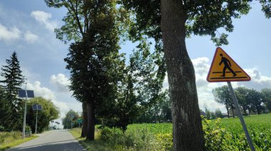 Fotoğrafta yol, sağında bir tarla olan ağaçlarla dolu.