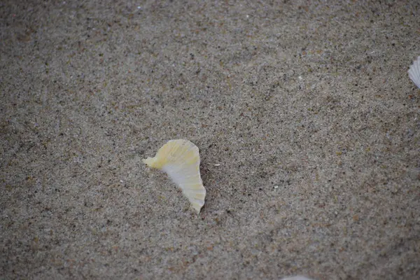 Gökyüzünden güzel bir deniz manzarası