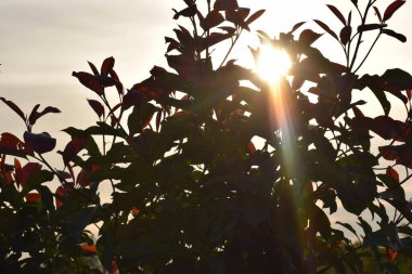 Gölün üzerinde güzel bir gün batımı