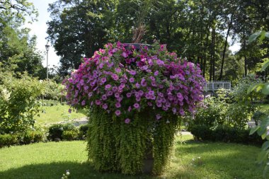 Purple blooms in a full arrangement with abundant green shoots create a floral waterfall effect against a garden backdrop