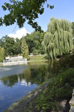 A natural spot with water and greenery is combined with a seating area, creating a harmonious atmosphere for walks and relaxation.