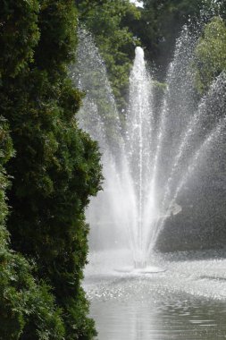 Çeşmeden gelen su göl yüzeyinden yükselir ve bir uyum ve sükunet hissi yaratır.