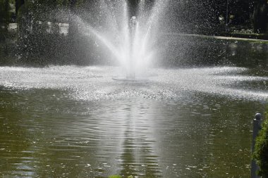 Çeşmeden gelen su göl yüzeyinden yükselir ve bir uyum ve sükunet hissi yaratır.