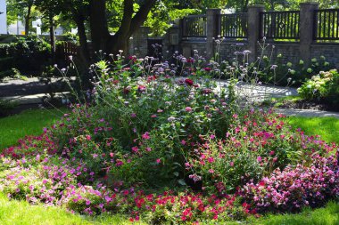 Çeşitli çiçeklerle dolu canlı bir çiçek tarlası arka planda yeşillik olan bir park ortamında renkli bir kompozisyon oluşturur.