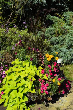 Bitkilerin karışımı, doğal tasarımın uyumunu vurgulayan canlı bir gölgeler paleti yaratır..