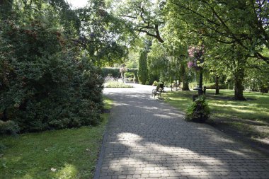 A peaceful park path stretches through lush trees and greenery benches along the way invite rest creating a serene and inviting outdoor scene