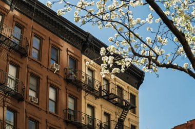 New York caddesi ve New York 'ta çiçekli Manhattan binalarının güzel manzarası.. 