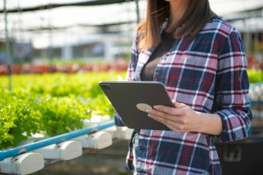 Çiftlik Çiftliği kalitesini tablet tarım modern teknoloji konseptiyle kontrol ediyor. Tarımda akıllı çiftçilik. Dijital tabletli tarımcı kadın.