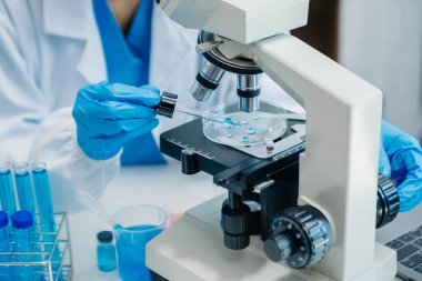 Modern tıbbi araştırma laboratuvarı. Kadın bilim adamı mikro pipetlerle çalışıyor biyokimyasal örnekleri analiz ediyor, tıp için ileri bilim kimya laboratuvarı.