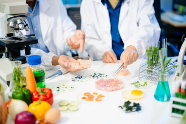 Team of scientists examining food samples in a lab with microscopes. Perfect for themes of food science, biotechnology, and nutrition research teamwork
