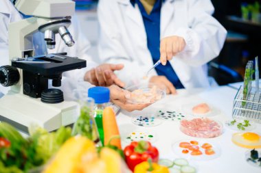 Team of scientists examining food samples in a lab with microscopes. Perfect for themes of food science, biotechnology, and nutrition research teamwork