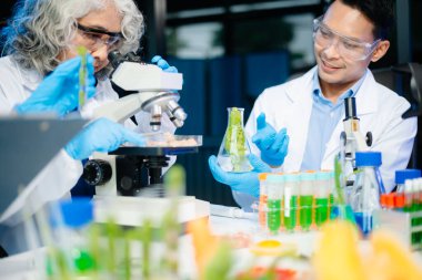 Team of scientists examining food samples in a lab with microscopes. Perfect for themes of food science, biotechnology, and nutrition research teamwork