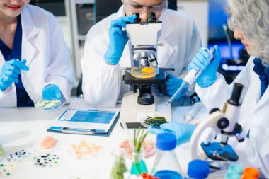 Team of scientists examining food samples in a lab with microscopes. Perfect for themes of food science, biotechnology, and nutrition research teamwork